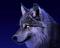 bahts�z nickli �yeye ait kullan�c� resmi (Avatar)